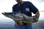 Fishing at  Crown Point Resort on Lake Kegonsa